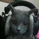 po1snous