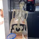 minttendy