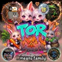 torusweb3
