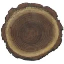 sapwood2079
