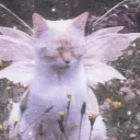 kebbakat