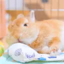 mugichan4103