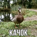 mr_roduk