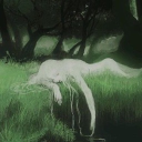 avatar nicole ୨ৎ