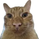 skippymcskips