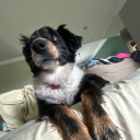 avatar Lieutenant jens