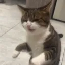 msawesome1965 avatar