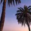 yjh_22