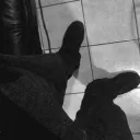 simbawer