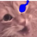 catsans_