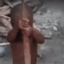 nom6