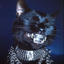 avatar Taizen💊🍃