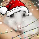 Аватар lapaklosha_666