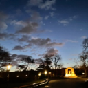 avatar freedomspriceless