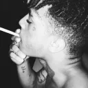 damn5137