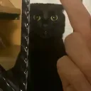lyopte