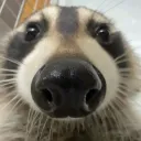 kelvbun