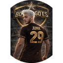Junik29