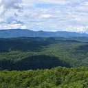 crooked_tennessee