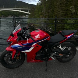 kasper.313.'s Avatar