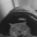 avatar ✞biels0n✞