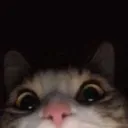 tyyy_1