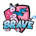 bravevgc