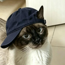 avatar Catlover