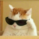 mochi99's Avatar