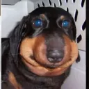 onetapyourface