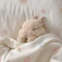 amorevfx