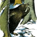 _mr.beaver