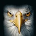 falconxu