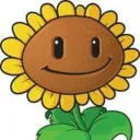 girasol2525 avatar