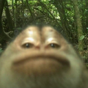 cxrson