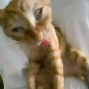 @p
