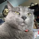 .eggkun