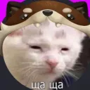 lolkek770