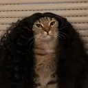 ronindabura