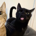 avatar 𝒴𝑜𝓂𝒾𝓀𝑜ツ