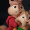 avatar 𝒴𝑜𝓂𝒾𝓀𝑜ツ