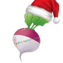 chunky_turnips