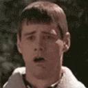 zhenghaotian884159's Avatar