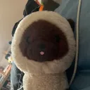 moonybamboony