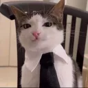 ganzosupremo