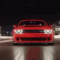 mcyankee