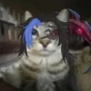apenzo