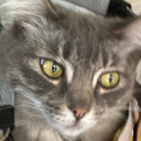 avatar breadsucksatwaterloo