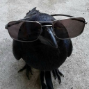 avatar 𝓡𝓐𝓥𝓔𝓝🍓🍋