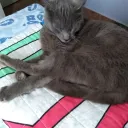 puoteryo6466